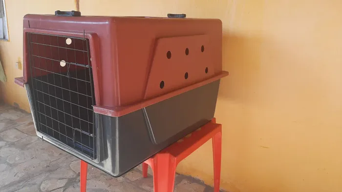 Caixa de transporte de cachorro