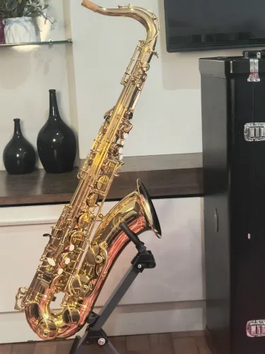 Sax Tenor Eagle semi novo impecável