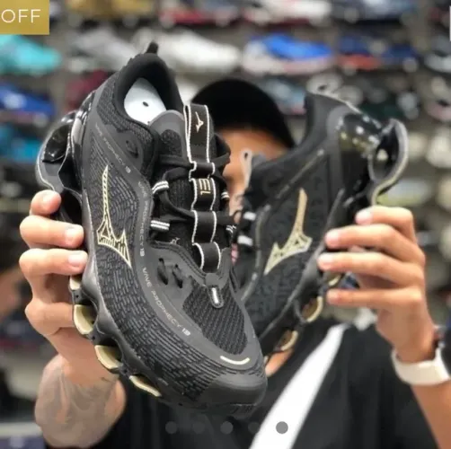 Mizuno prophecy 13