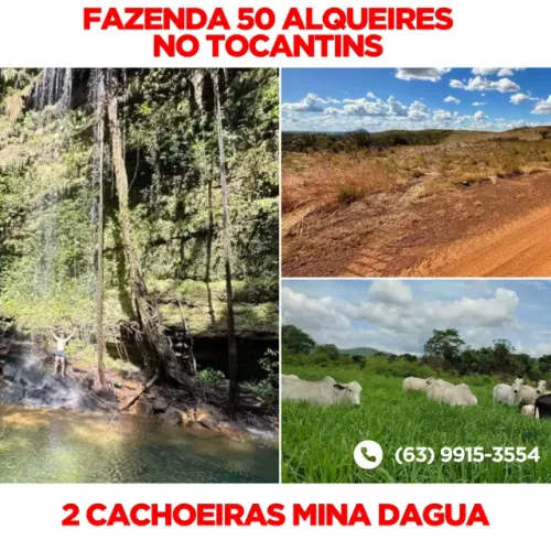 Fazenda em tocantins Porto Nacional Agua, Rio, Corgo, Lago, Represa, Casa, Gado, Boi, Vaca