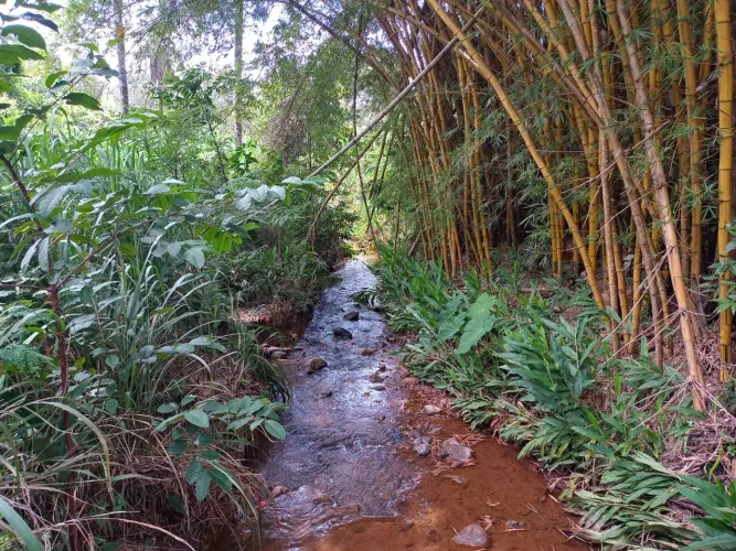 Terreno 8 hectares a 25 km BH.