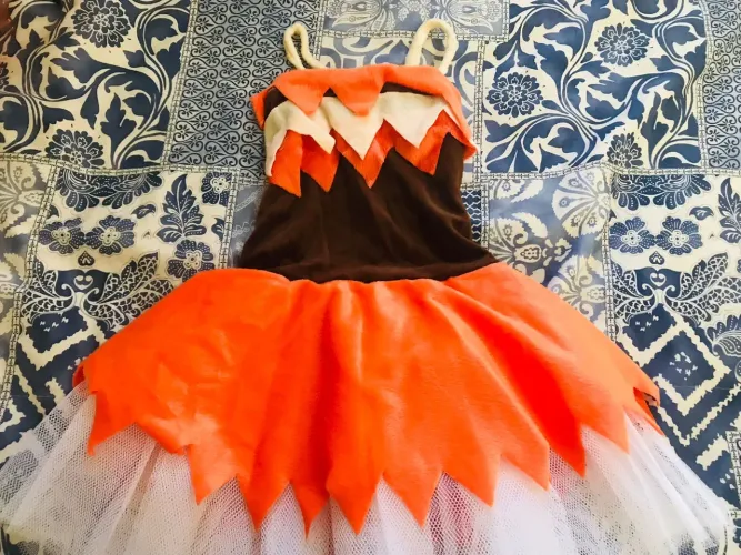 Fantasia Infantil  - Perfeita para Festas!