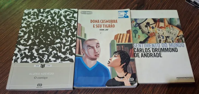Conjunto de livros