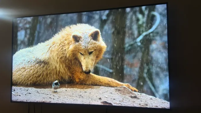 Smart Tv 4k LG 65 Polegadas