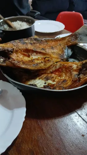 Cozinheira de forno e fogão