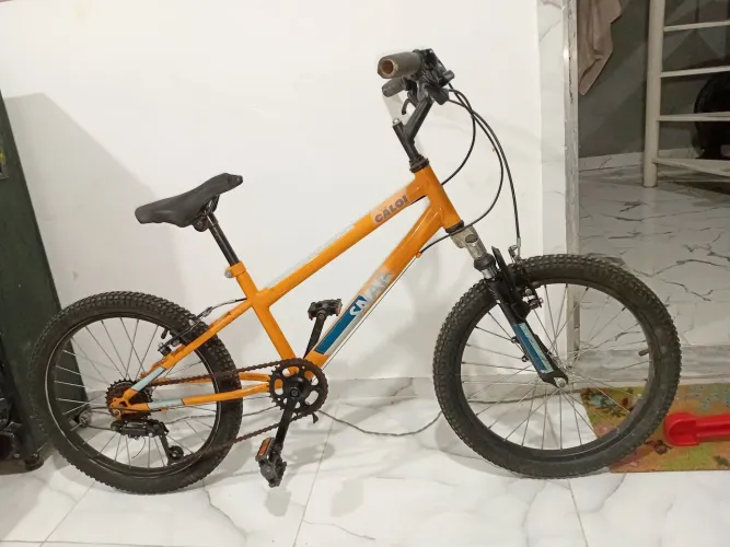 Bicicleta infantil Caloi Snap aro 20.