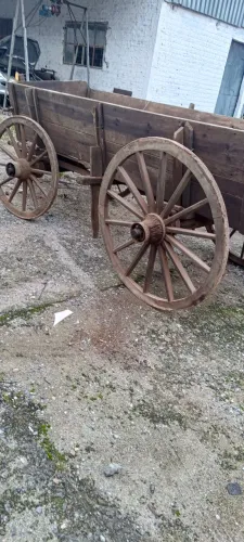 Carroça de boi andando perfeitamente