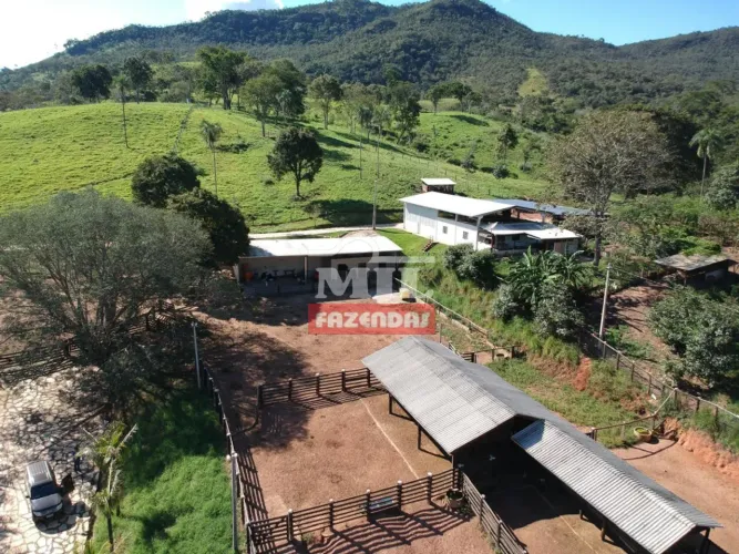 Fazenda 206 Alqueires (997 hectares) Cocalzinho - GO