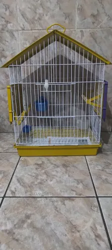 Gaiola 