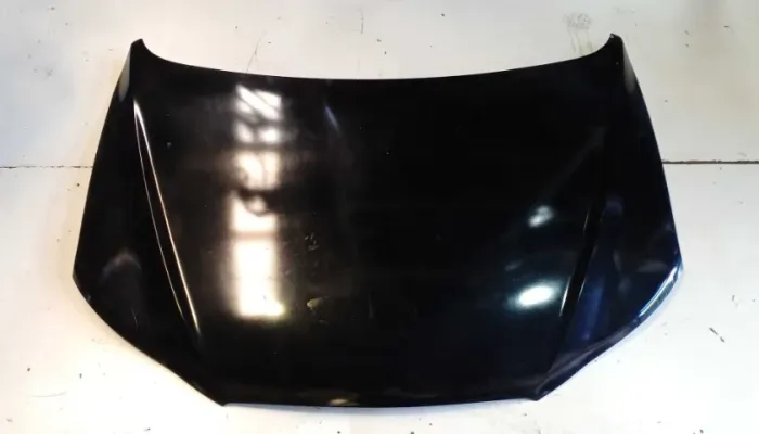 CAPO HYUNDAI SANTA FE 2011