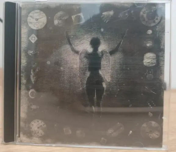 CD: Ministry, Álbum: PSALM 69 (1993)