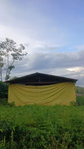 Galpão pra retirada do material. 
