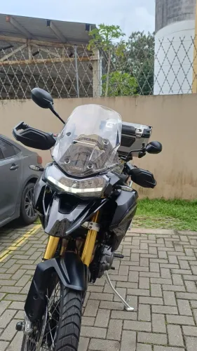 Tiger Rally 