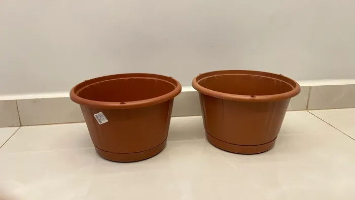 Vasos Cuias com prato para plantas nutriplan n°2