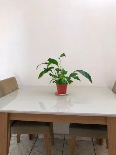 Mesa de Jantar Poliman, 4 Lugares , em perfeito estado