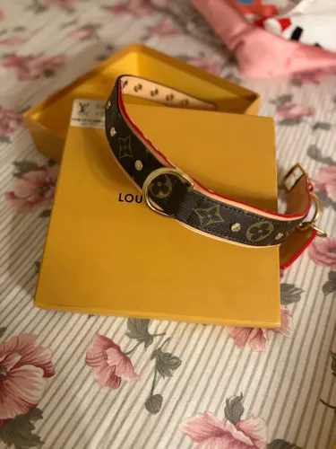 Coleira para Cachorro Estilo Luxo Monogram 