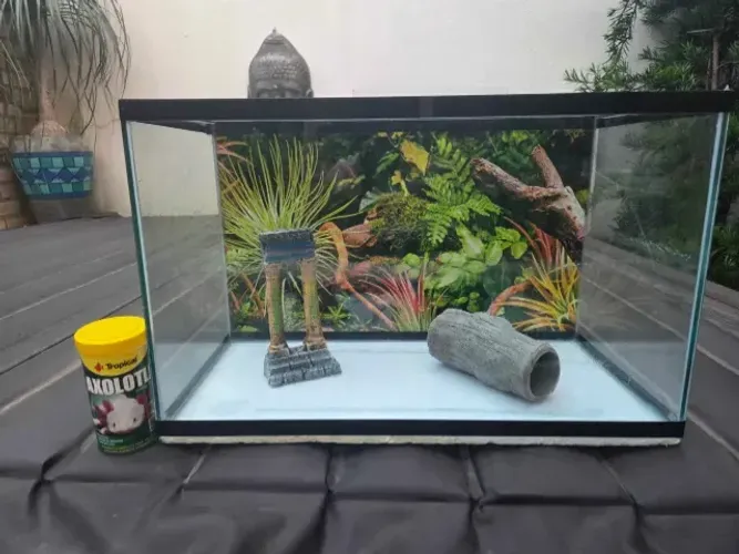 Aquario de 31 Litros + ração e enfeite