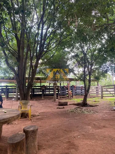 Fazenda com 5 Quartos à Venda, Centro (Taquaralto) - Palmas