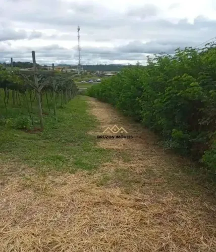 ÁREA RESIDENCIAL A VENDA, 14.000M² A.T., R$ 10.426.000,00, TRAVIÚ - JUNDIAÍ/SP. PRINCIPAIS