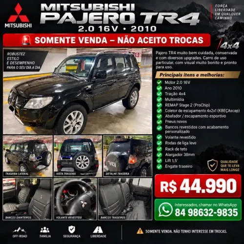 Mitsubishi Pajero TR4 2.0/ 2.0 Flex 16V 4X4 Aut. 2010
