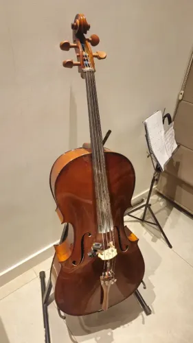 Violoncelo Eagle C300