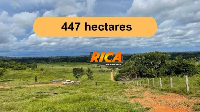 Fazenda à venda, com 447 Hectares no município de Candeias do Jamari/RO