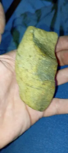 Pedra Neandertal