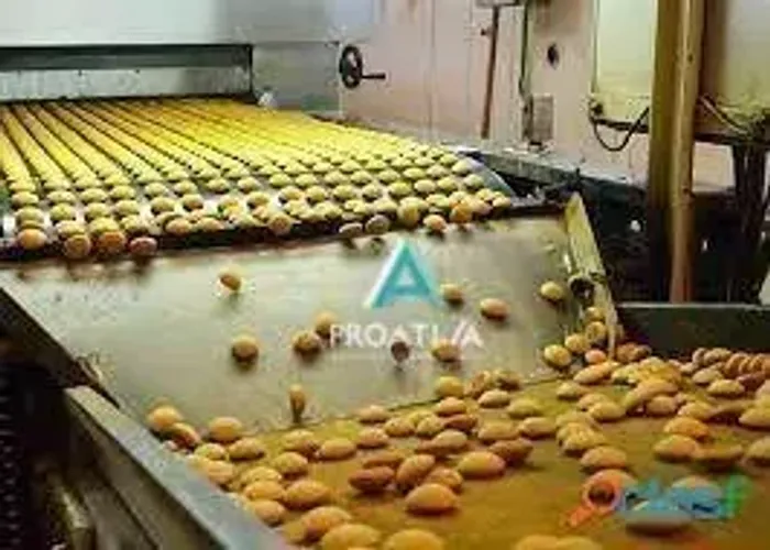 Fabrica de Biscoitos e Salgadinhos em Diadema