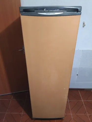 Excelente Frezzer, Prosdócimo, 248 litros, alto congelamento.