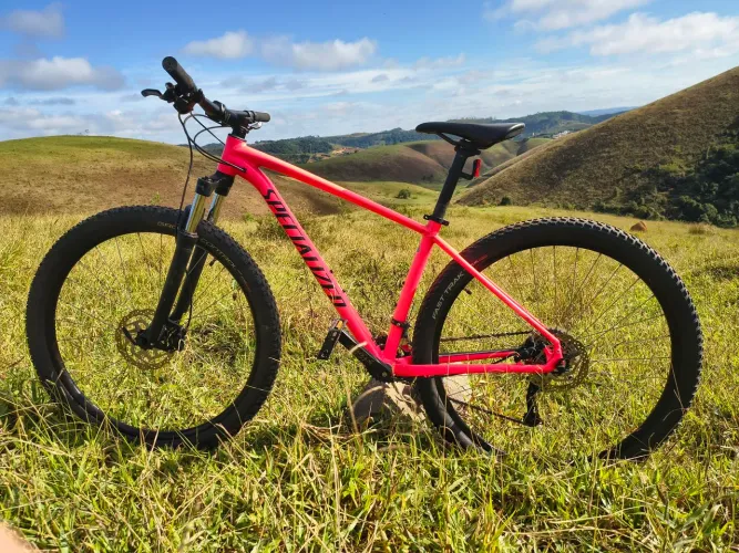 Specialized Rockhopper 2018 M aro 29