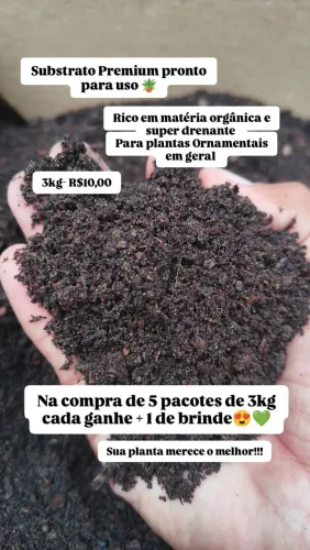 Substrato/Adubo Para plantas ?