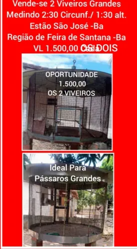 Viveiros Grandes Disponíveis