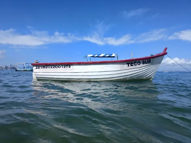 Barco de fibra