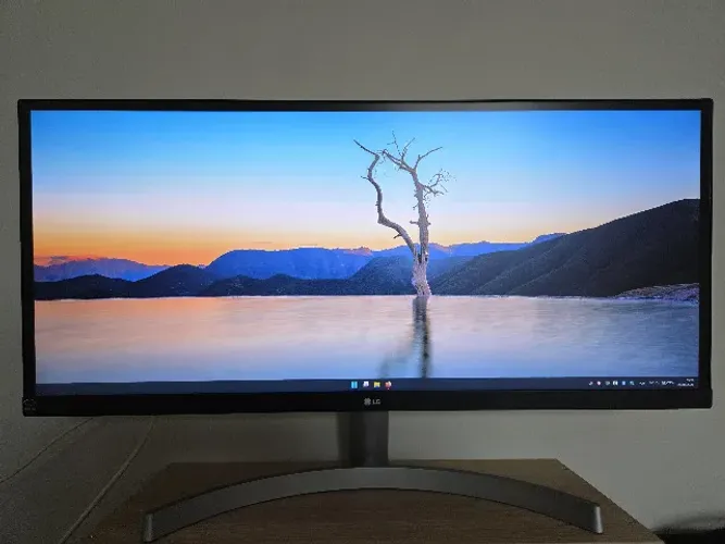 Monitor Ultrawide Lg 29'' Full HD 29WK600W