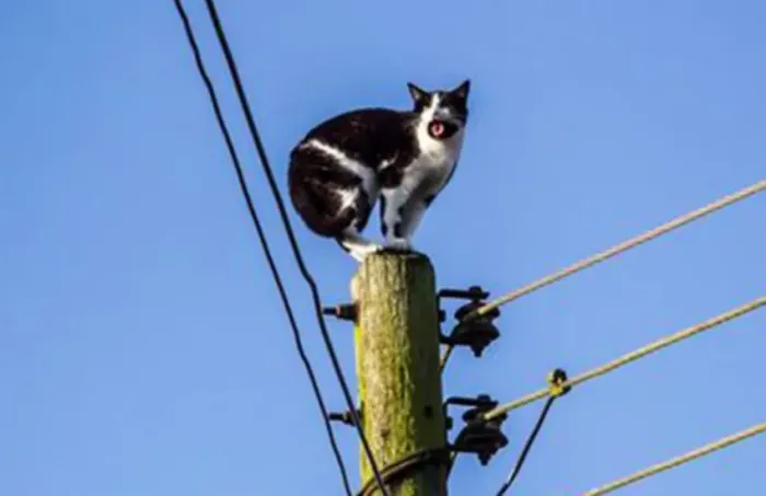 Eletricista 