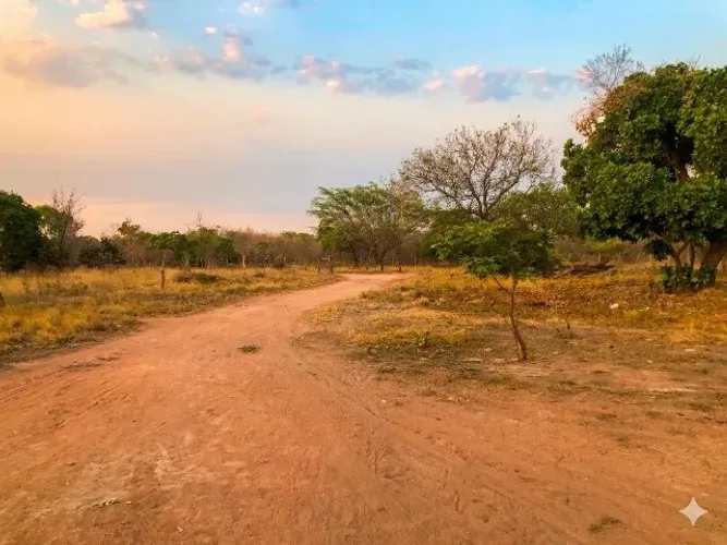 Oportunidade única no sul do Piauí: Fazenda de 245 hectares a 3 km da cidade!