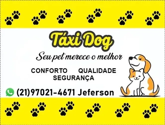 Táxi dog (agenda seu horário) passeio , veterinário e pet shop!! Seu pet merece o melhor !