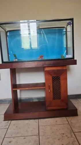 Aquário 110 litros