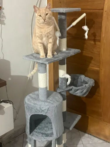 Arranhador para Gatos Torre