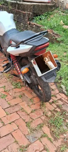 Vedo moto FAZER 150