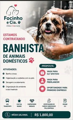 Vaga em clínica veterinária Média Salário R$1800,00-R$3500,00