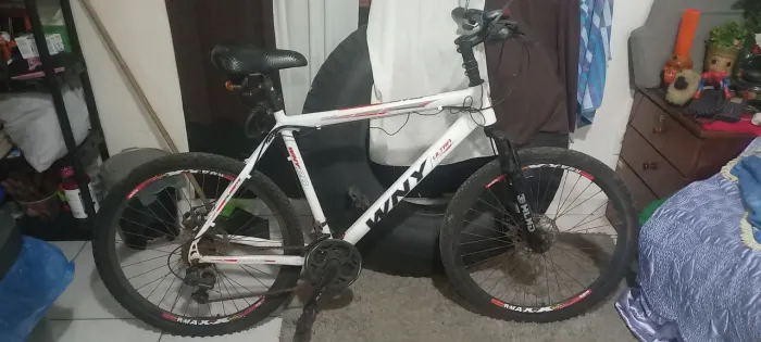 Bike WNY Aro 26