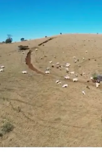 Fazenda á venda .