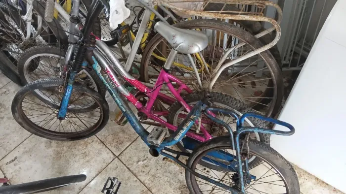 Bicicleta berlineta cb aro 20