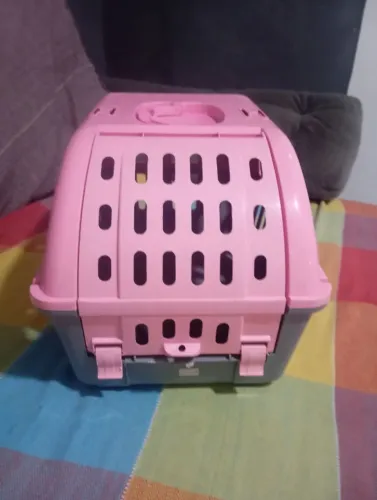 TRANSPORTE PARA PET