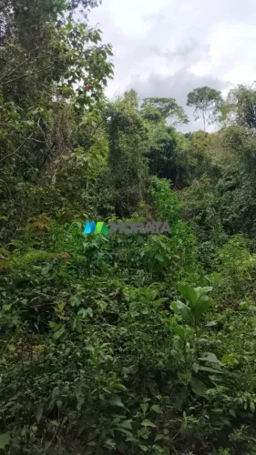 FAZENDA PARA COMPENSAÇÃO AMBIENTAL / RESERVA LEGAL - 48 HECTARES - REGIÃO DE VIÇOSA (MG)