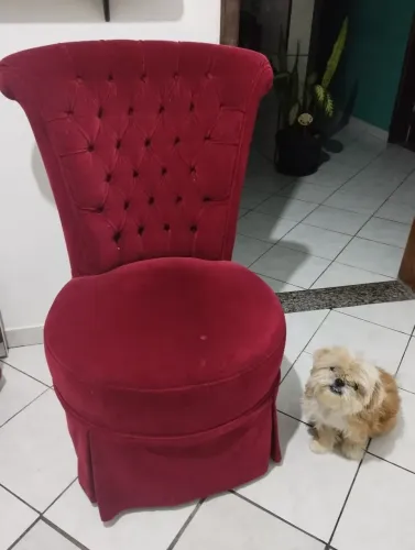 Poltrona Vermelha super estilosa veludo