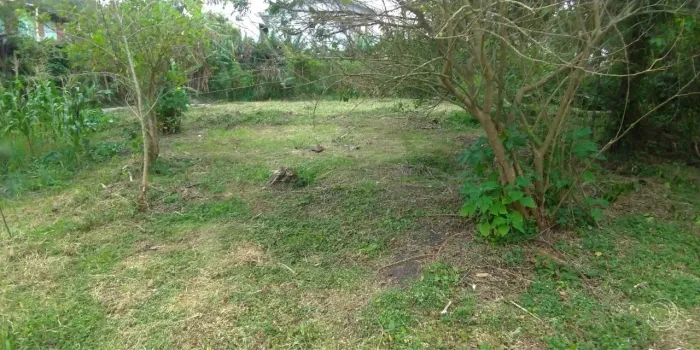 Terreno de 3575m² no bairro Morro Das Pedras