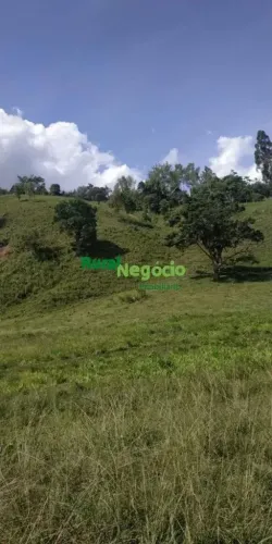 CHÁCARAS SEM BENFEITORIAS EM CUNHA-SP