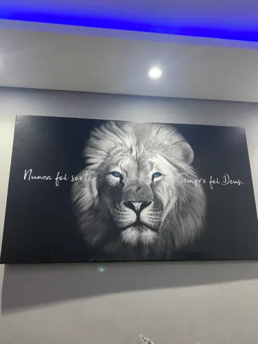 Quadro Decorativo Leão